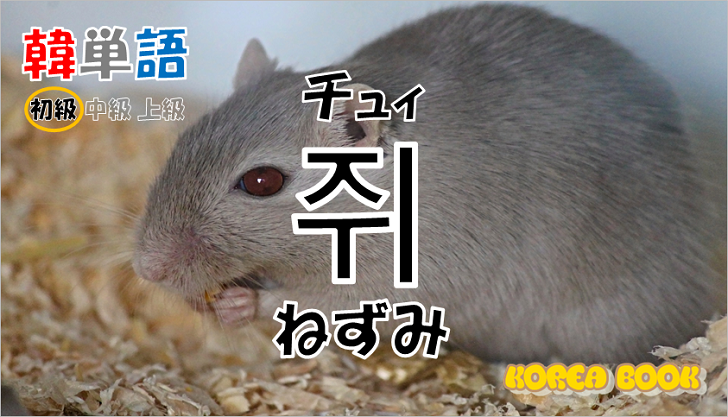 韓国語単語「쥐」を解説