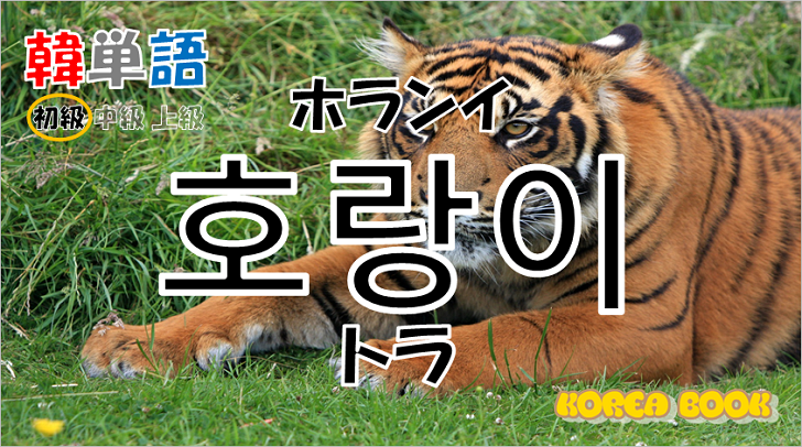 韓国語単語「호랑이」を解説
