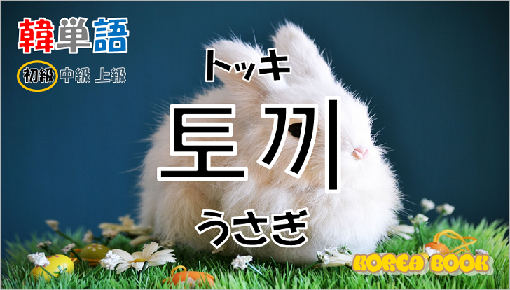 韓国語単語「토끼」を解説