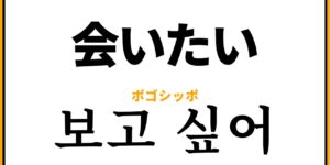 会いたい の韓国語表現12選 보고 싶어 ポゴシッポ の意味と만나고 싶어 マンナゴシッポ の意味の違いも解説 コリアブック