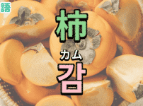柿を韓国語で