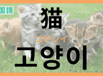 「猫」を韓国語で