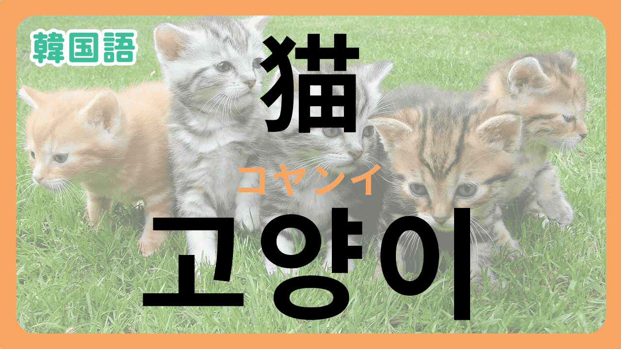 「猫」を韓国語で